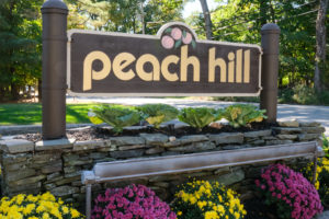 Peach Hill Townhomes