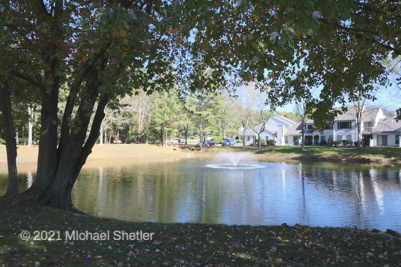Pond
