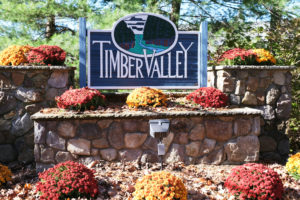 Timber Valley Townhomes